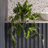 Artificial Philodendron Hanging