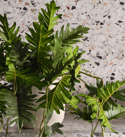 Artificial Philodendron Hanging