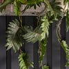 Artificial Philodendron Hanging