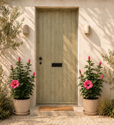 Pair of Large Pink Hibiscus