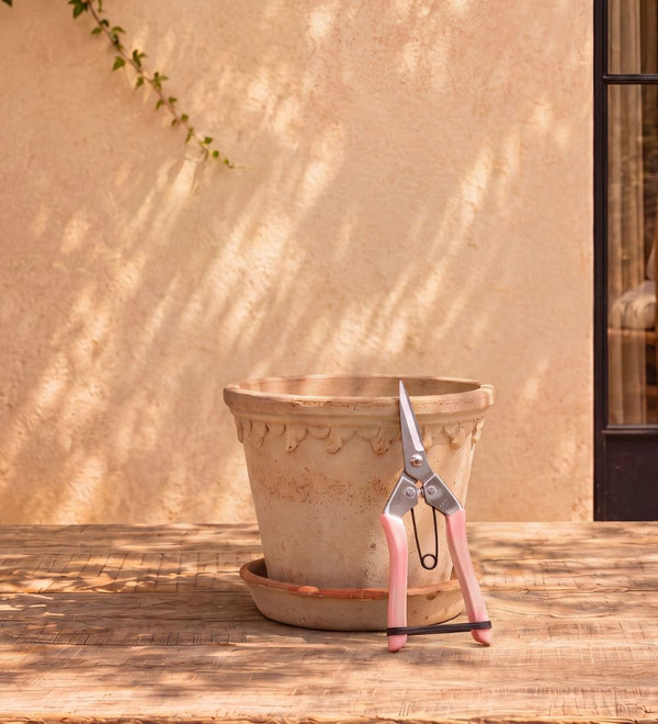 Pink Secateurs