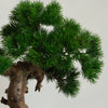 Artificial Bonsai