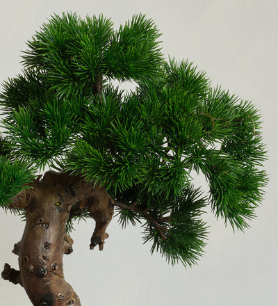 Artificial Bonsai & Pot