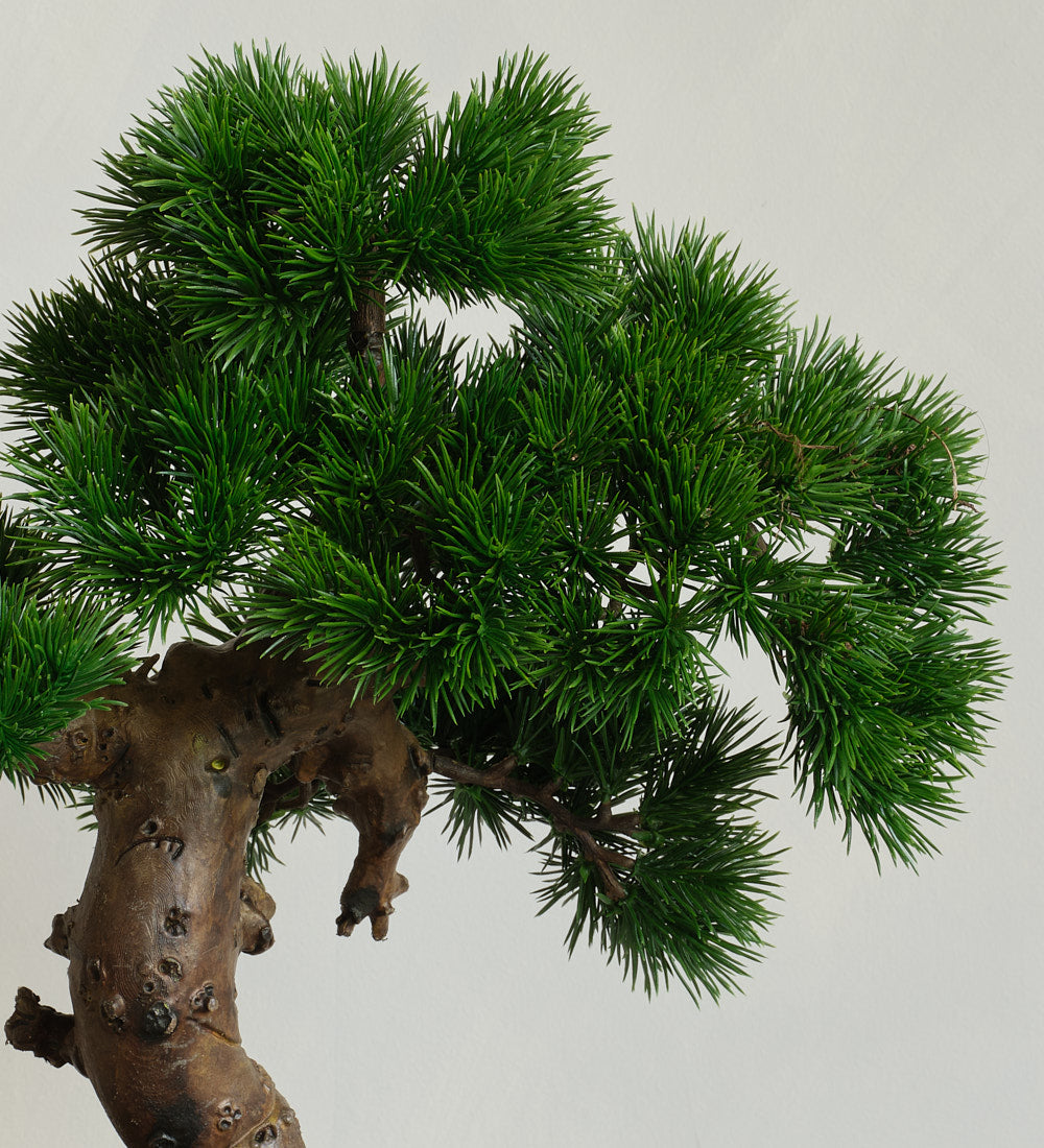 Artificial Bonsai