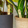 Pun Plant Markers