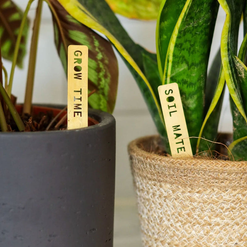 Pun Plant Markers