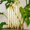 Houseplant Trellis