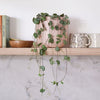 String Of Hearts & Pot