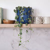 String Of Hearts & Pot