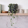 String Of Hearts & Pot