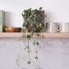 String Of Hearts & Pot