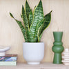 Cool Grey Air Purifying Bundle