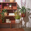 Black Plant Stand