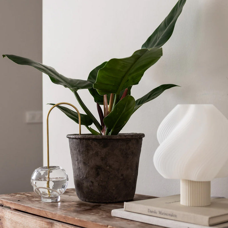 Plant Straw