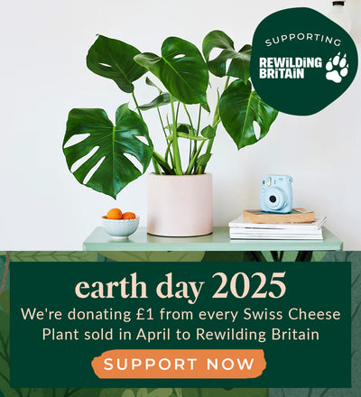 Earth Day Banner Product