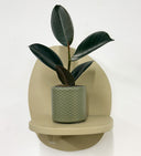 Khaki Pot
