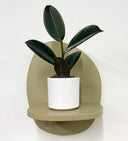 White Pot