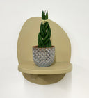 Blue Pot