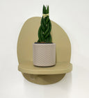 Taupe Pot