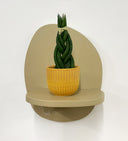 Mustard Pot