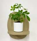 White Pot
