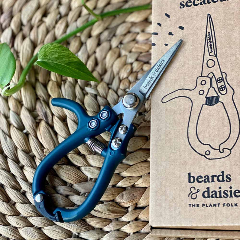 Plant Secateurs
