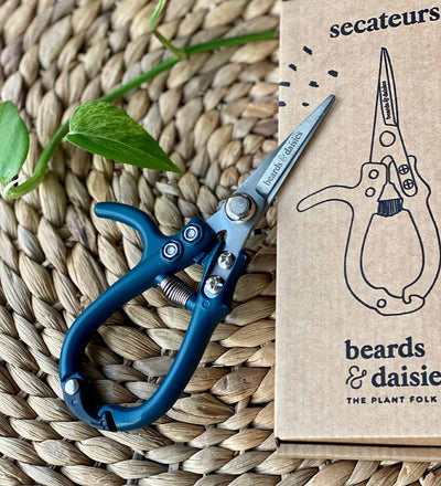 Plant Secateurs