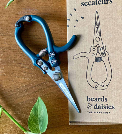 Plant Secateurs