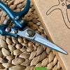 Plant Secateurs