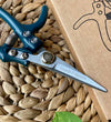 Plant Secateurs
