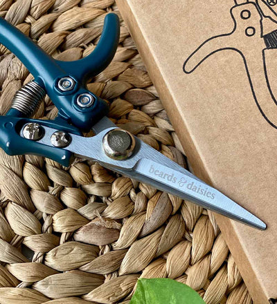 Plant Secateurs
