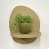Mini Sedum Silverstar & Pot