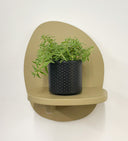 Grey Pot