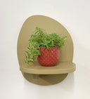 Pink Pot