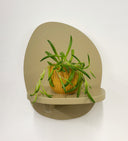 Mustard Pot