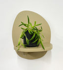 Grey Pot