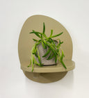 Taupe Pot