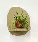 Pink Pot