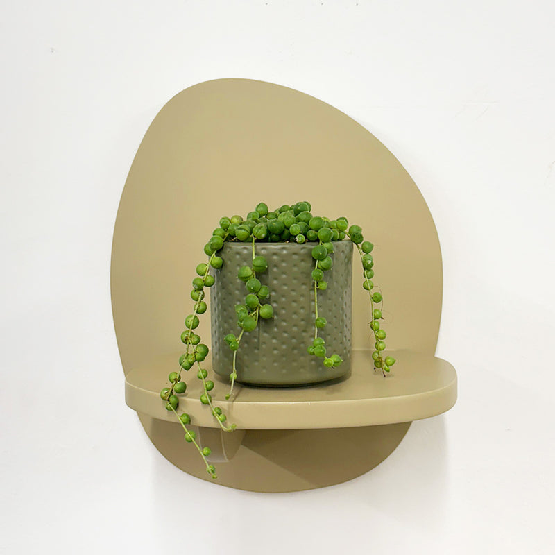 Mini String of Pearls & Pot