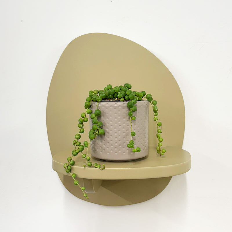 Mini String of Pearls & Pot