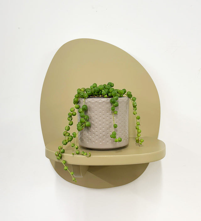 Mini String of Pearls & Pot