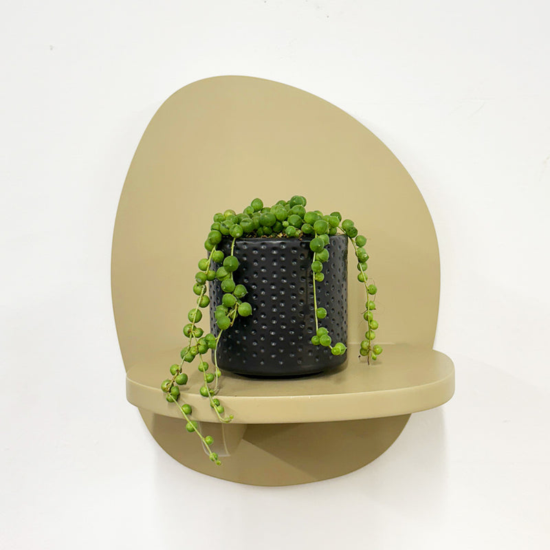 Mini String of Pearls & Pot