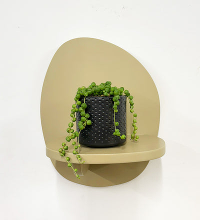 Mini String of Pearls & Pot