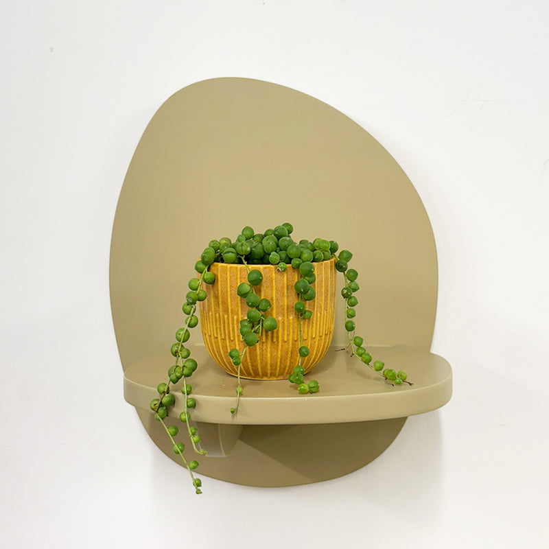 Mini String of Pearls & Pot