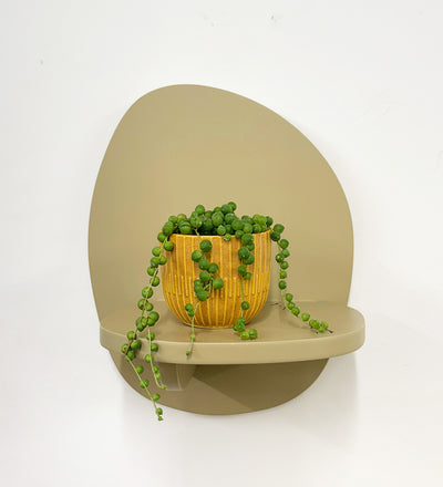 Mini String of Pearls & Pot