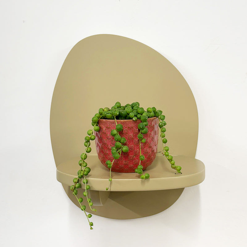 Mini String of Pearls & Pot