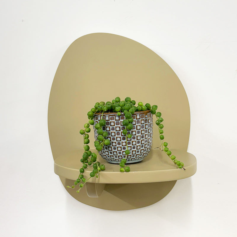 Mini String of Pearls & Pot