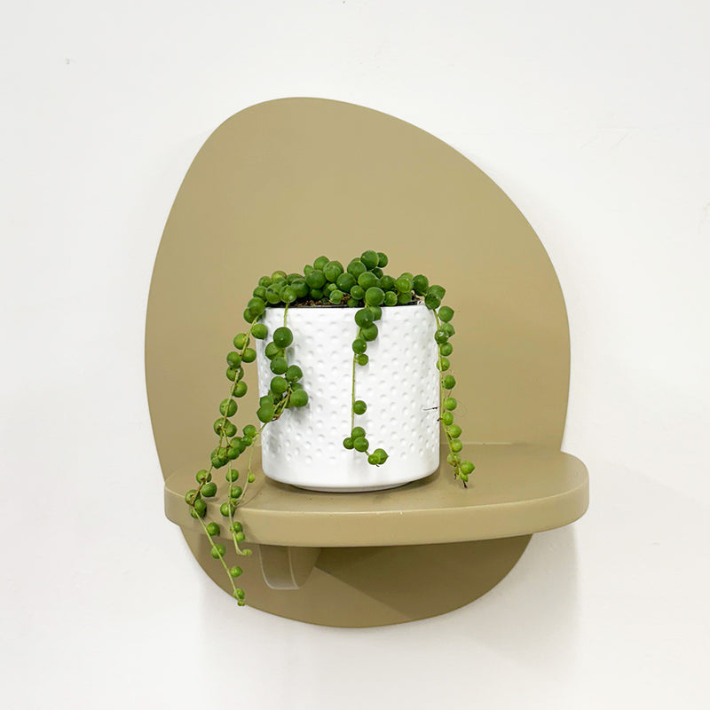 Mini String of Pearls & Pot