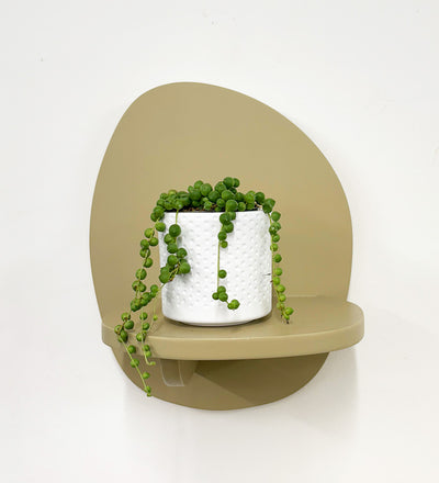 Mini String of Pearls & Pot