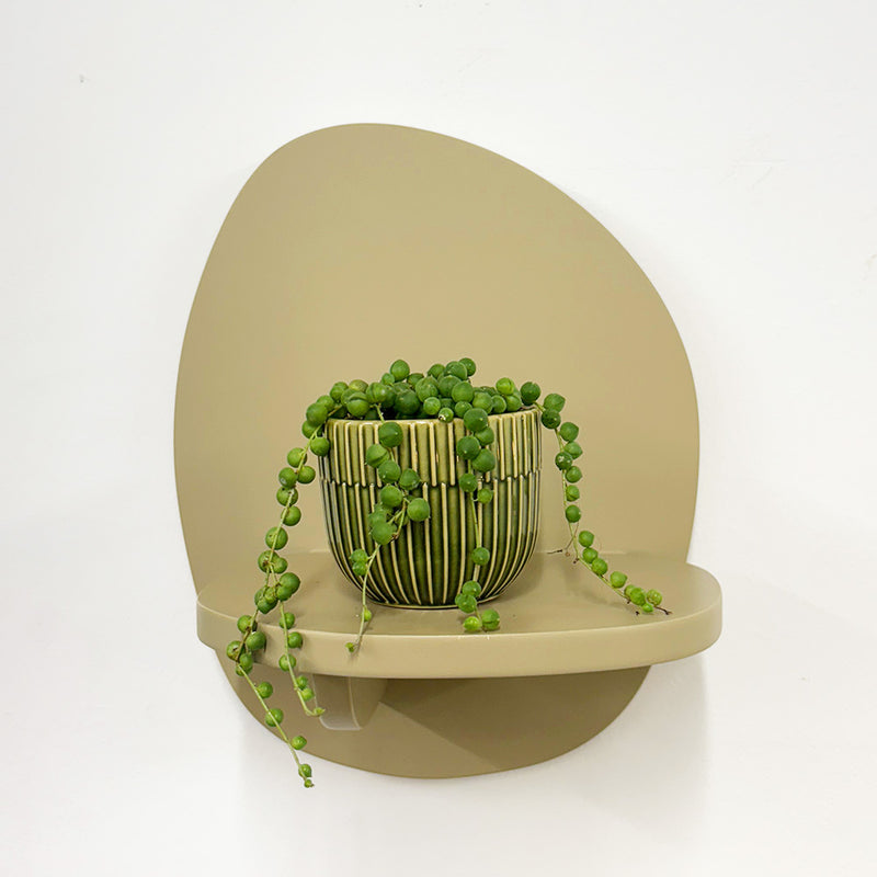 Mini String of Pearls & Pot